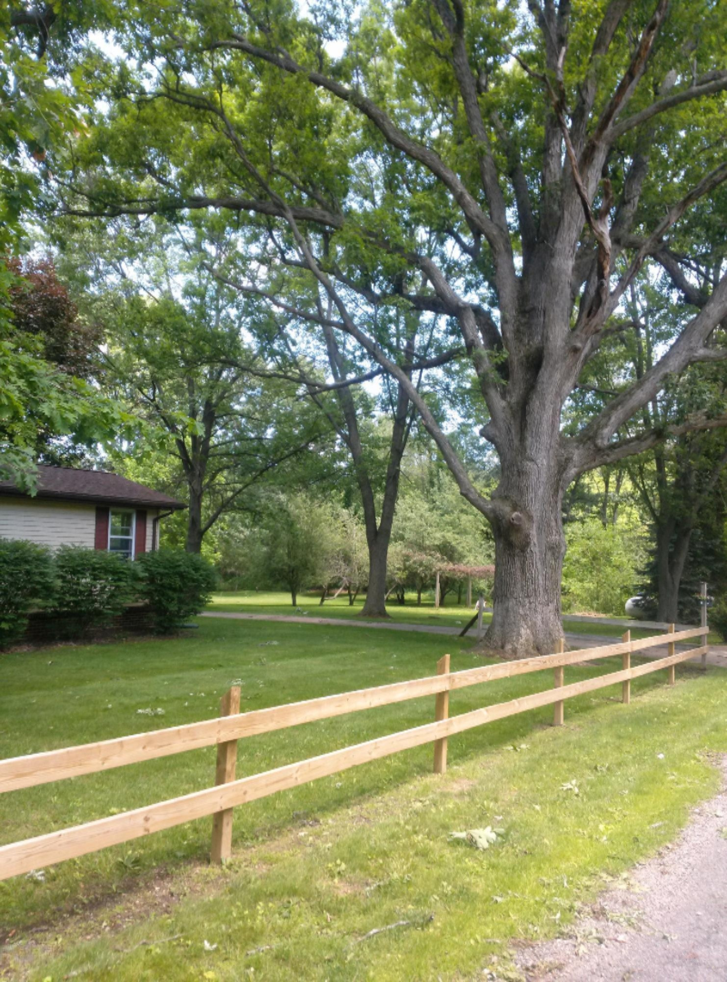 9521 Condit Road Albion, MI 49224 - Photo 19 of 67 CAM00661