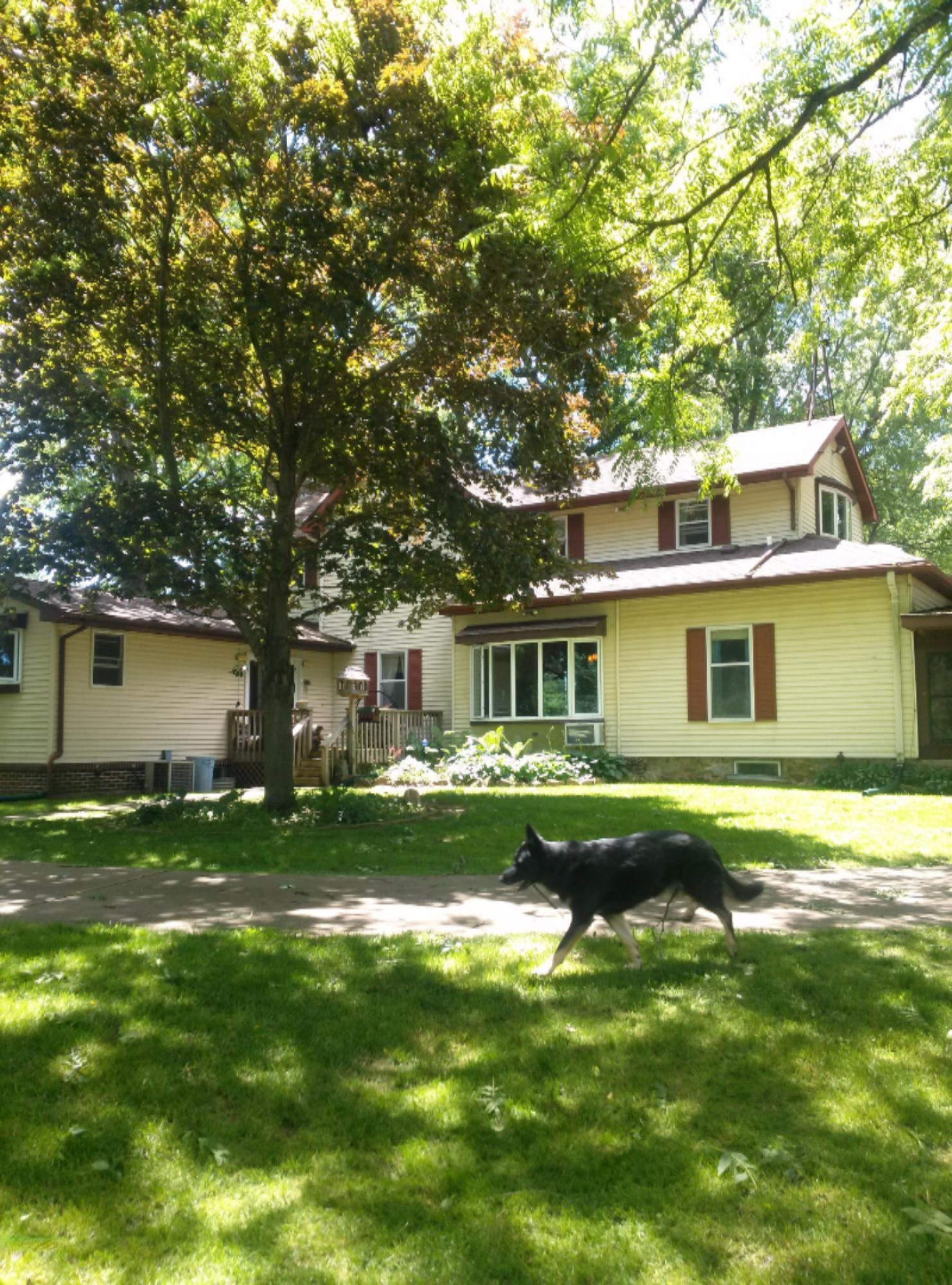 9521 Condit Road Albion, MI 49224 - Photo 23 of 67 CAM00665