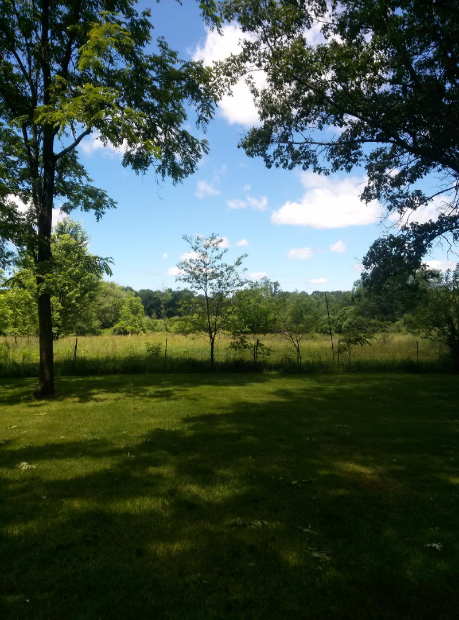 9521 Condit Road Albion, MI 49224 - Photo 24 of 67 CAM00666