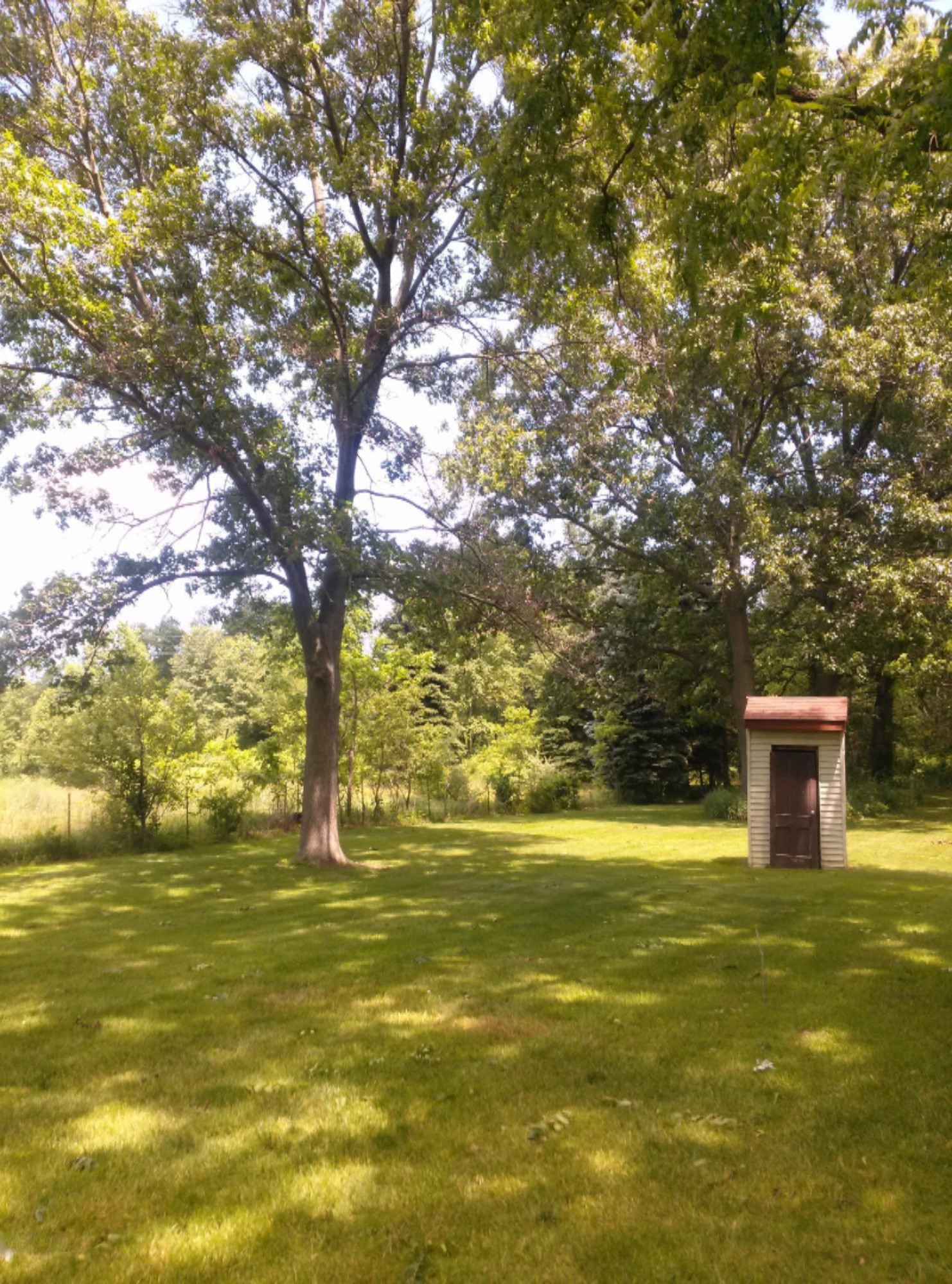 9521 Condit Road Albion, MI 49224 - Photo 25 of 67 CAM00667