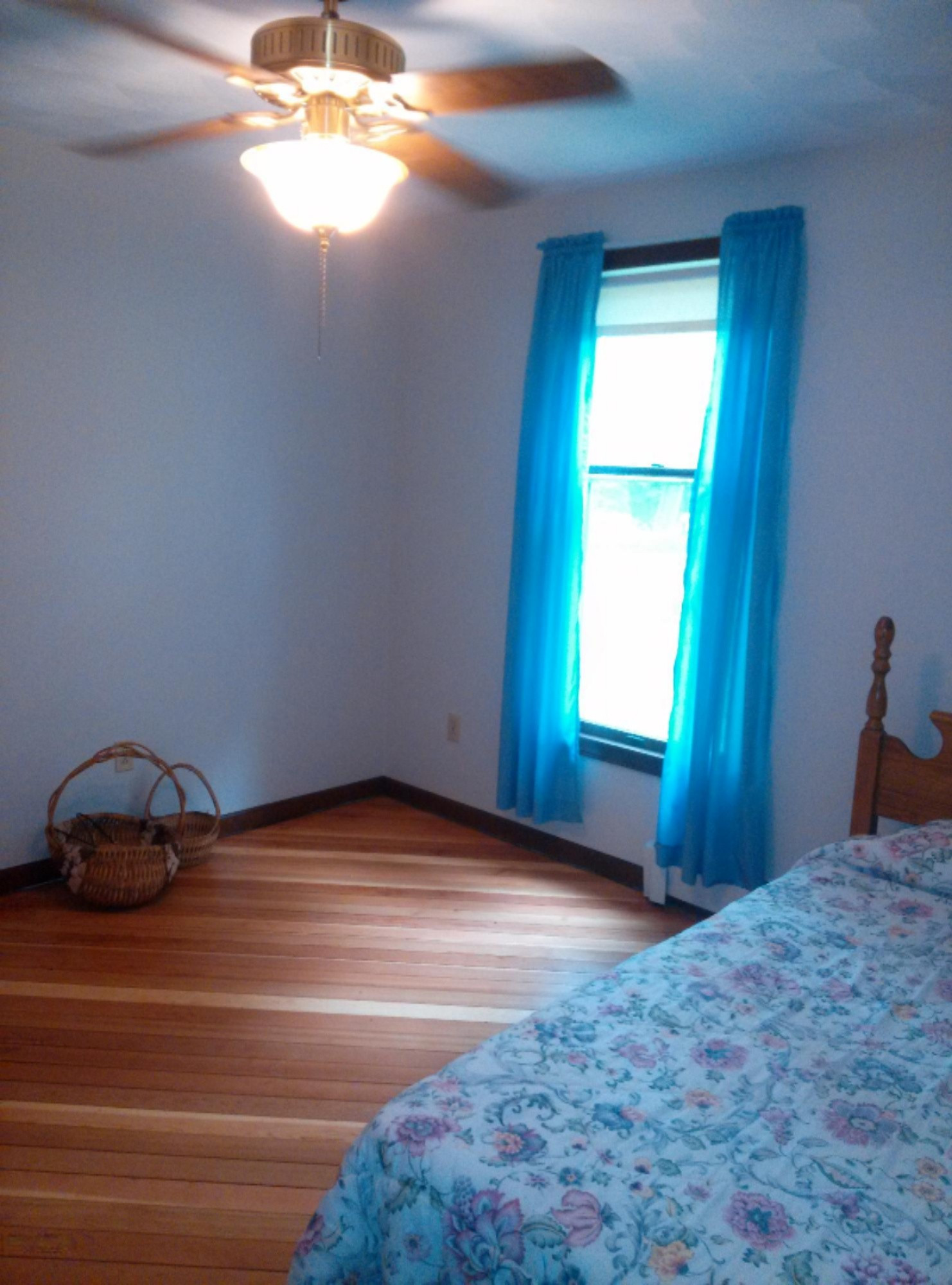 9521 Condit Road Albion, MI 49224 - Photo 47 of 67 CAM00702
