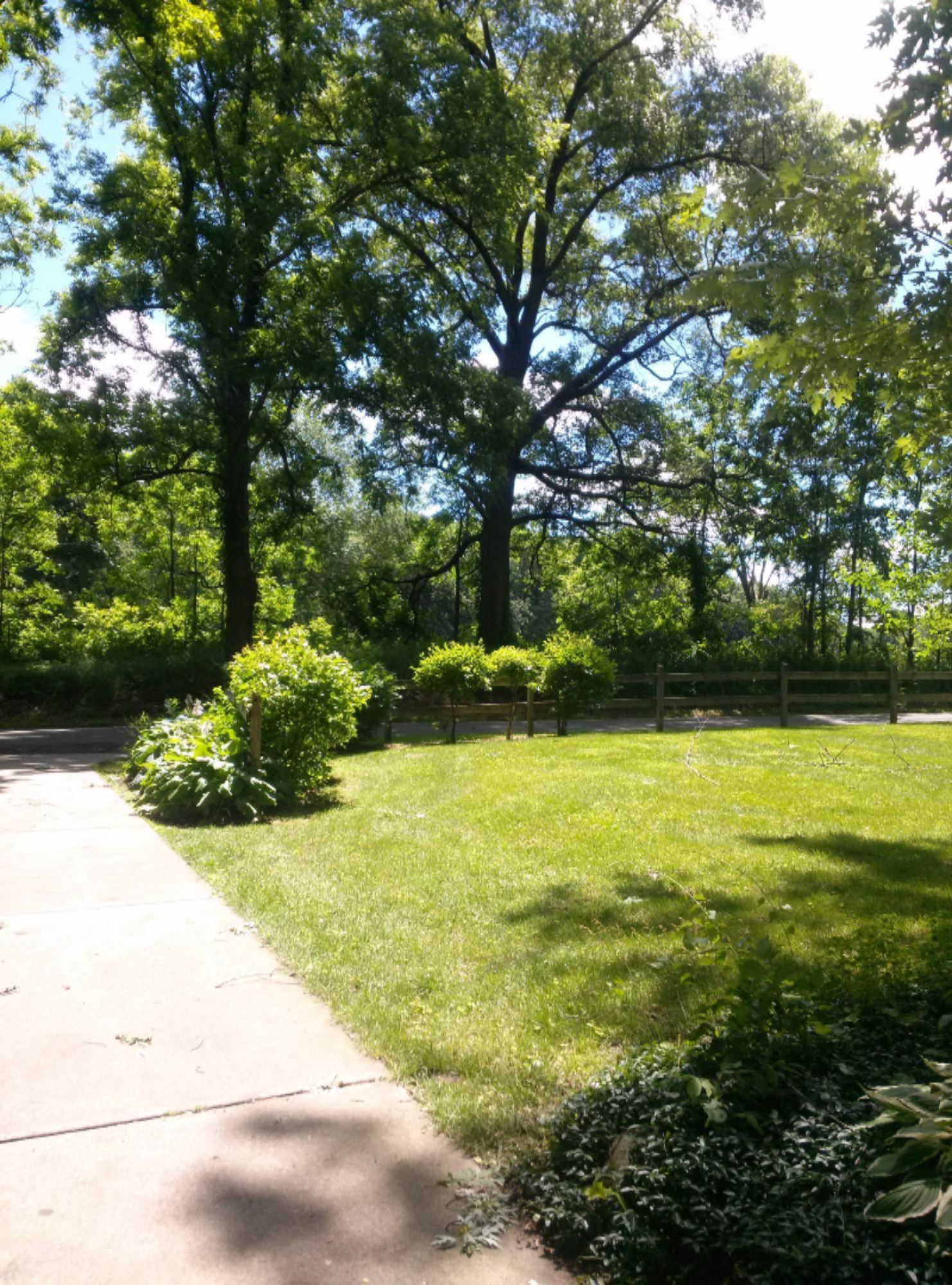 9521 Condit Road Albion, MI 49224 - Photo 66 of 67 CAM00656