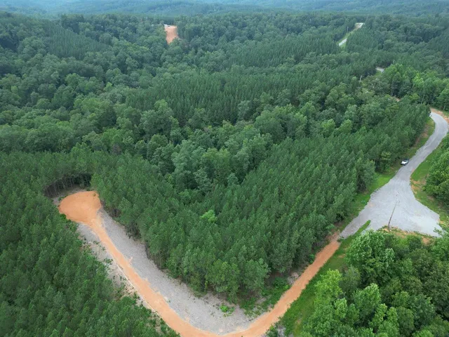 a view of a forest with a yard