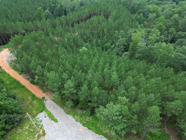 a view of a green field with lots of bushes