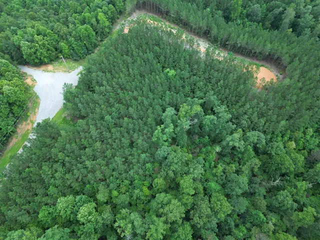 a view of a lush green forest with lots of trees