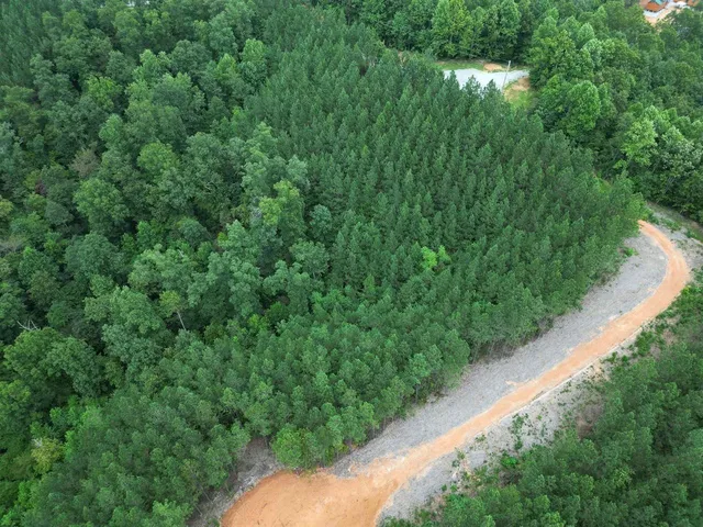 a view of a garden with a pathway