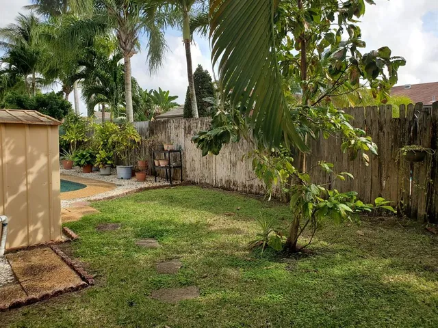 a view of a yard with a tree