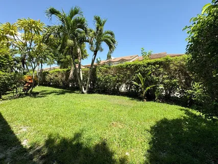 a view of a garden with a tree