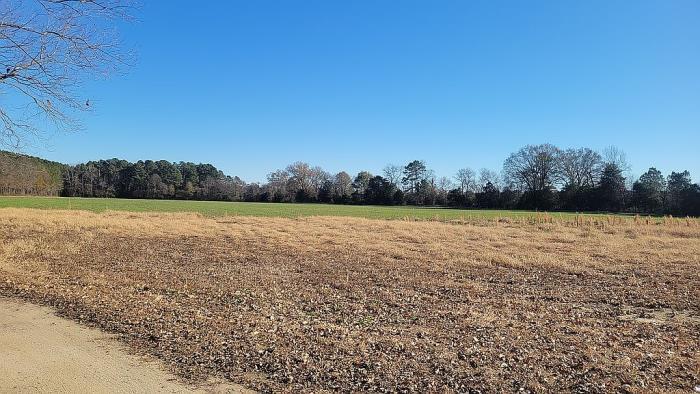 11333 Mt Olive Cohoke Road West Point, VA 23181 - Photo 8 of 13