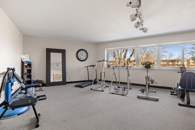 5540 Walnut Avenue, Unit 6B Downers Grove, IL 60515 - Photo 19 of 25 a view of a room with gym equipment