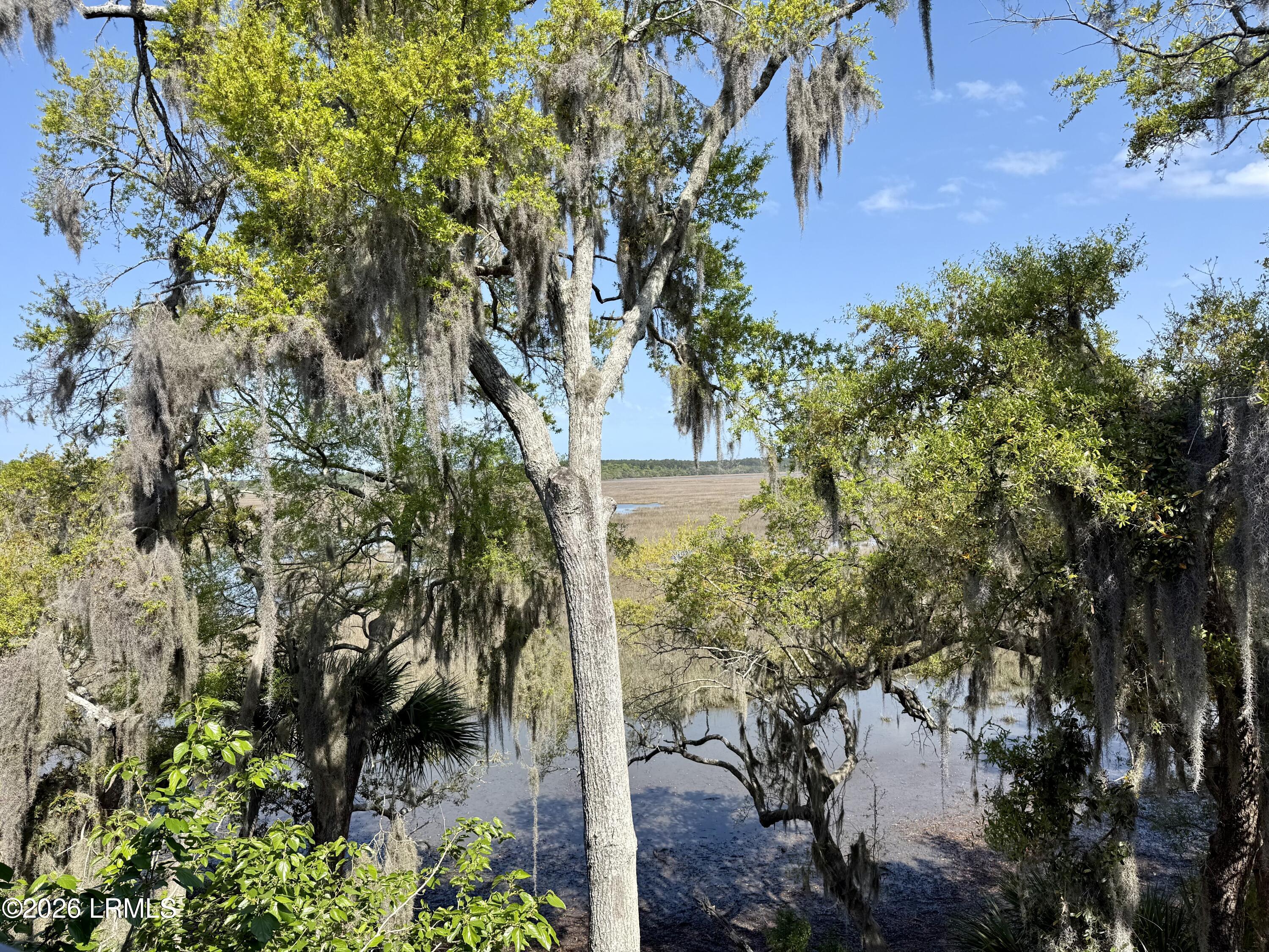 2201 Boundary Street, Unit 311 Beaufort, SC 29902 - Photo 14 of 14 IMG_2918