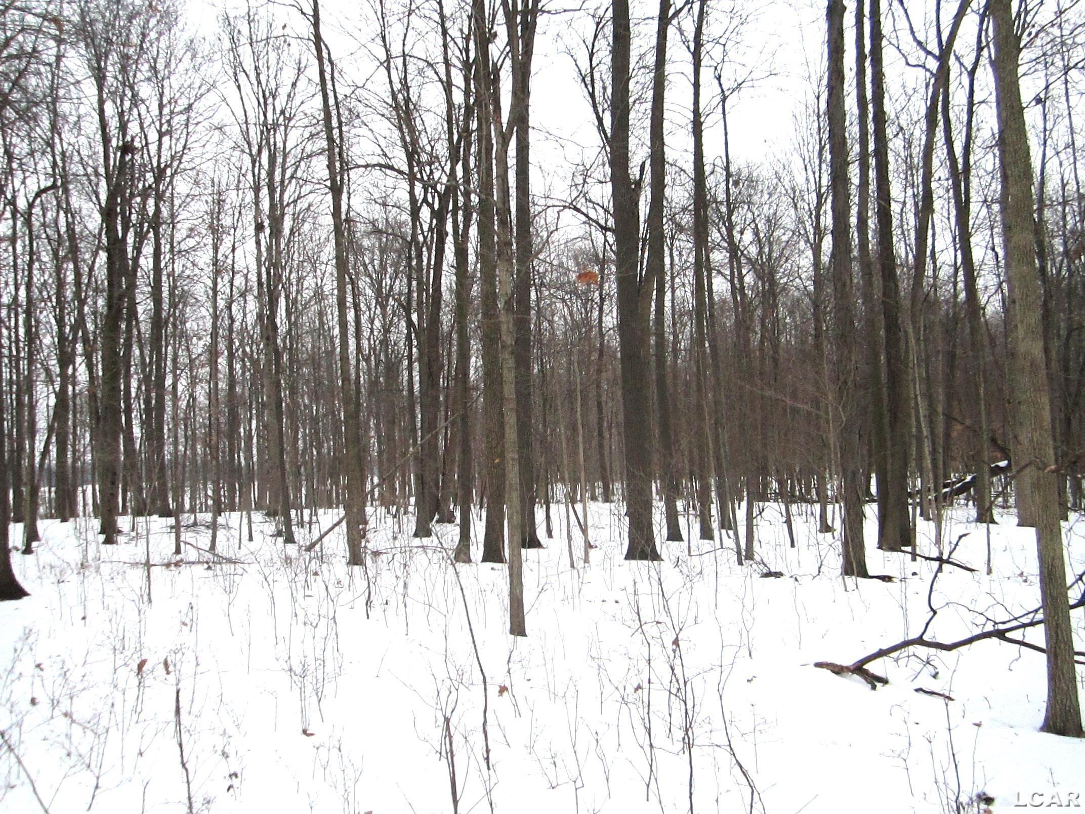 Lee Road Road Waldron, MI 49288 - Photo 5 of 5