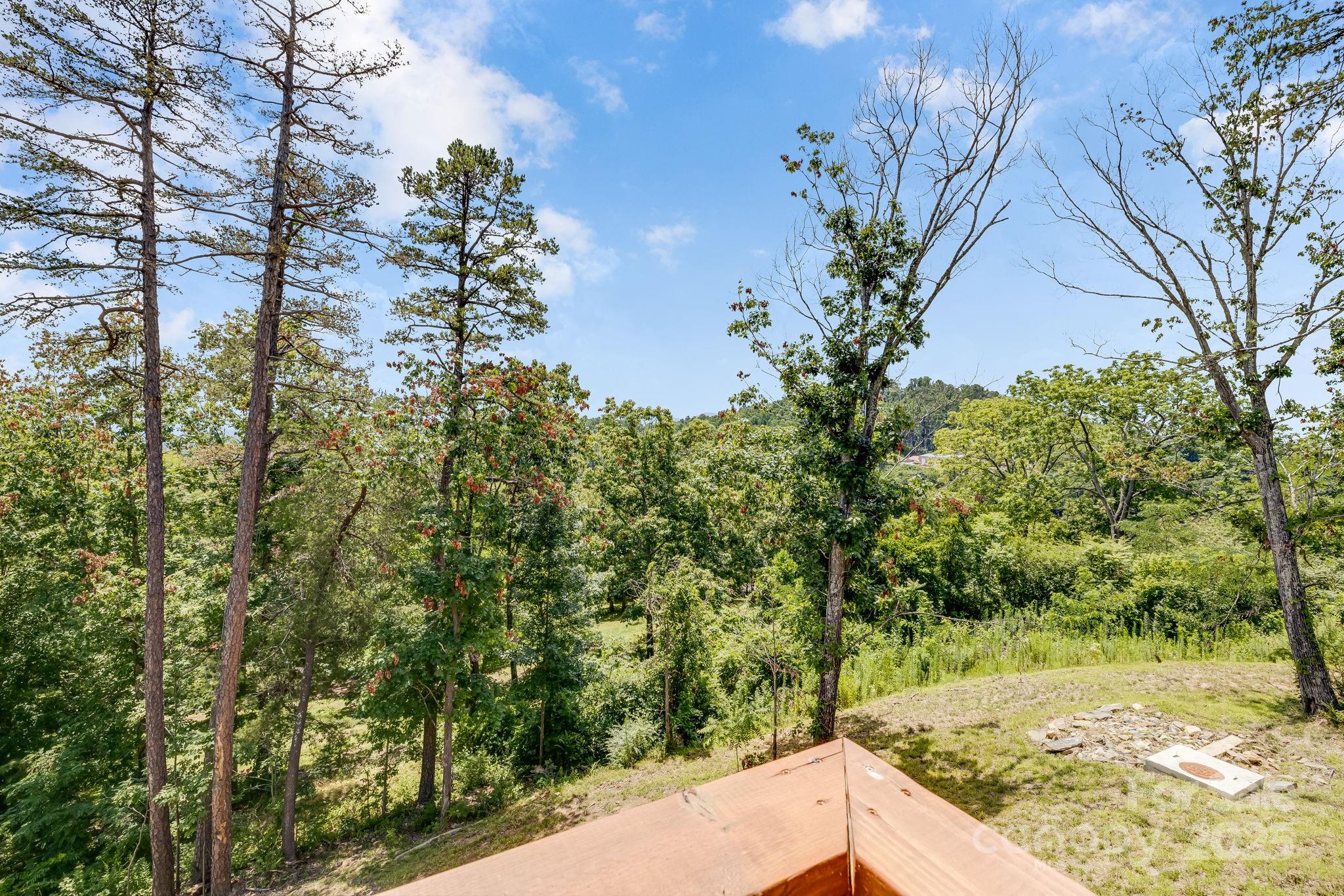 338 Espen Ridge Asheville, NC 28804 - Photo 43 of 48