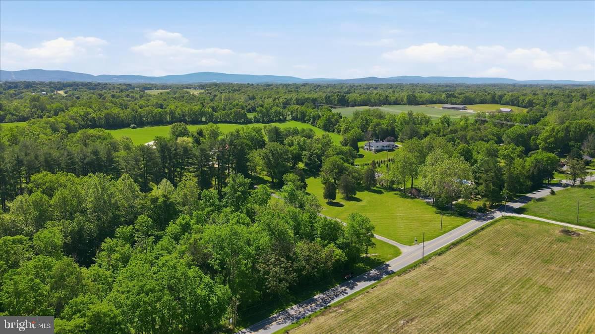 0 Reichard Road Fairplay, MD 21733 - Photo 8 of 8 Gallery Image 8