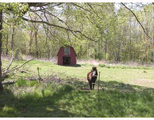106 South Killingly Road Foster, RI 02825 - Photo 5 of 6 Yard/Garden.