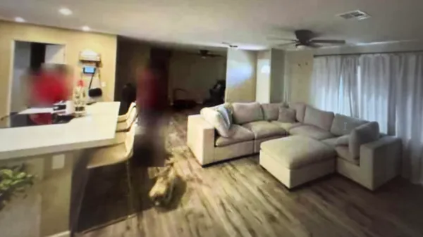 a view of a dining room with wooden floor and entryway