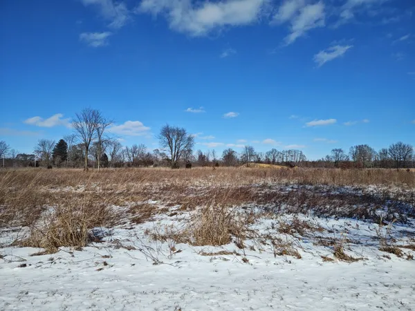 a view of a dry yard covered with snow