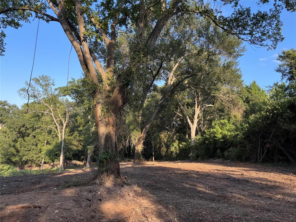 0 North Prairieville Street Athens, TX 75751 - Photo 5 of 5