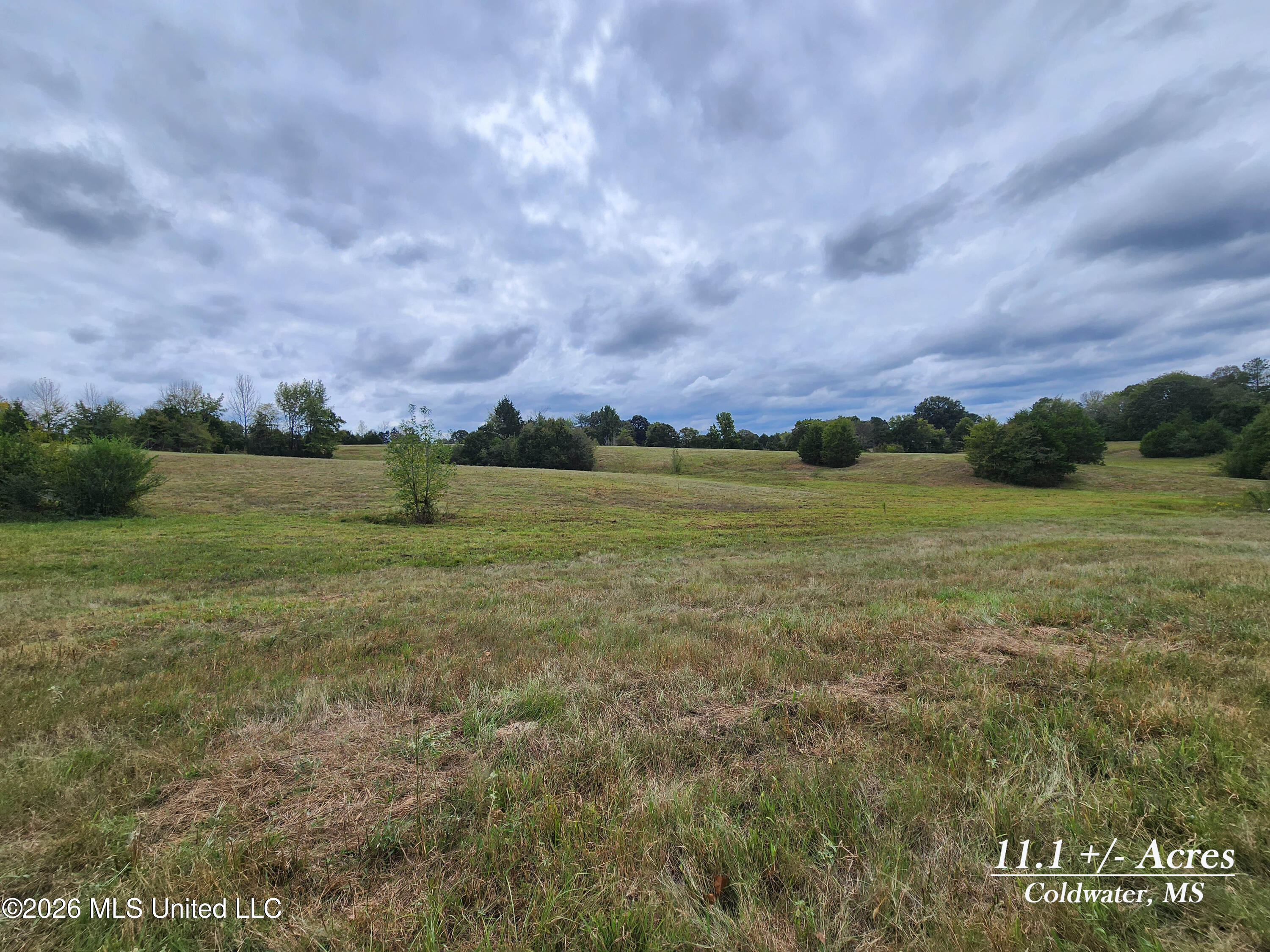 11.1 Bub Jamison Road Coldwater, MS 38618 - Photo 1 of 12 20260924_124229 copy