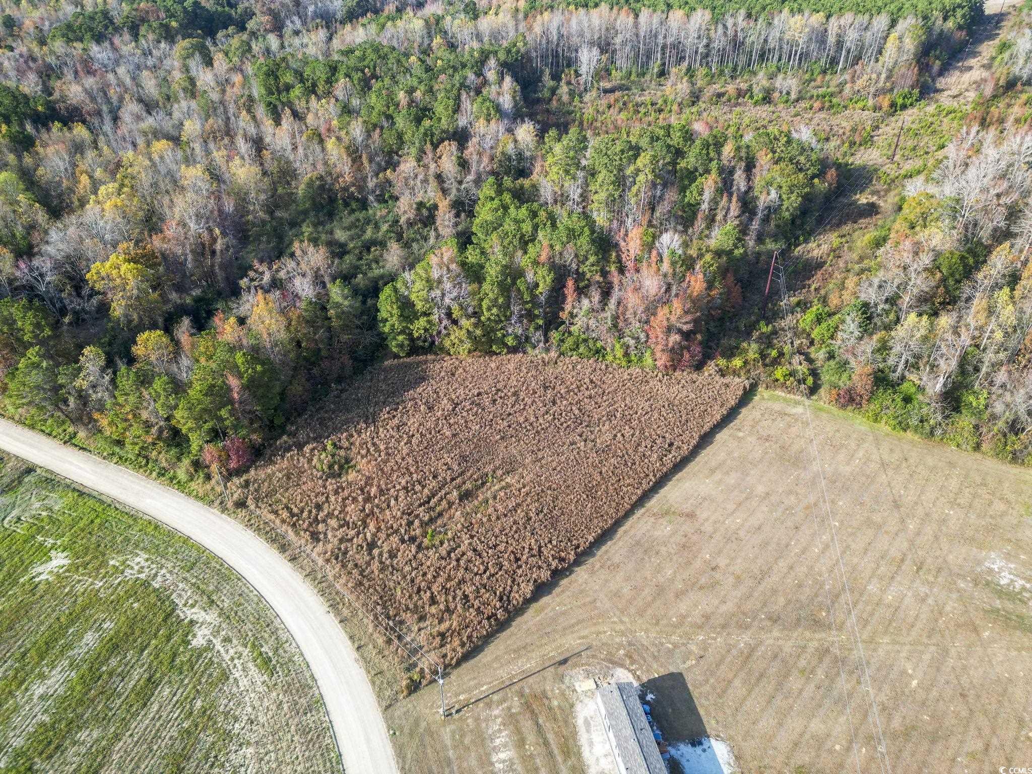 6110 Pleasant View Church Road Nichols, SC 29581 - Photo 2 of 8 Aerial overview of property's location with rural landscape
