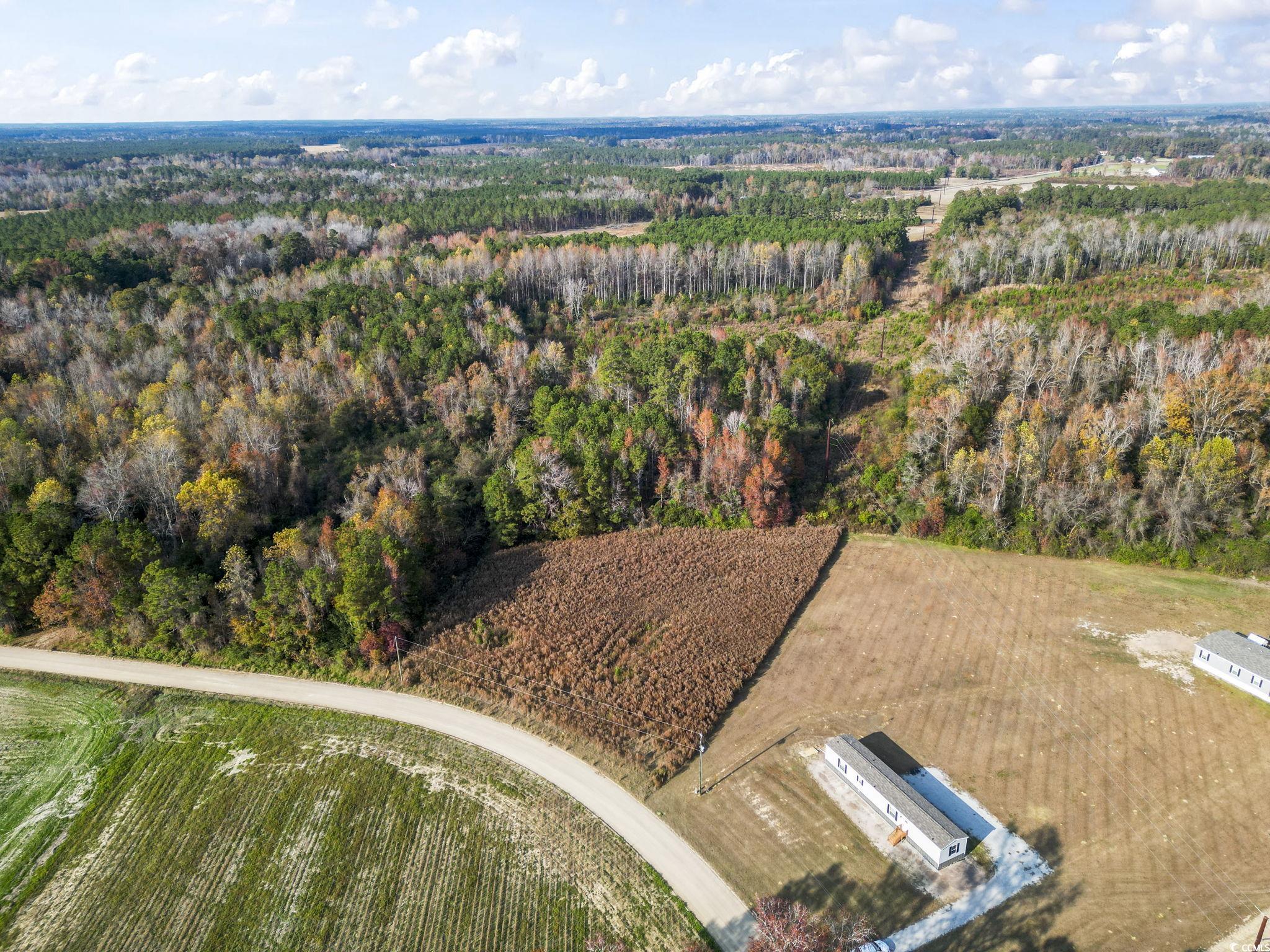 6110 Pleasant View Church Road Nichols, SC 29581 - Photo 3 of 8 Bird's eye view