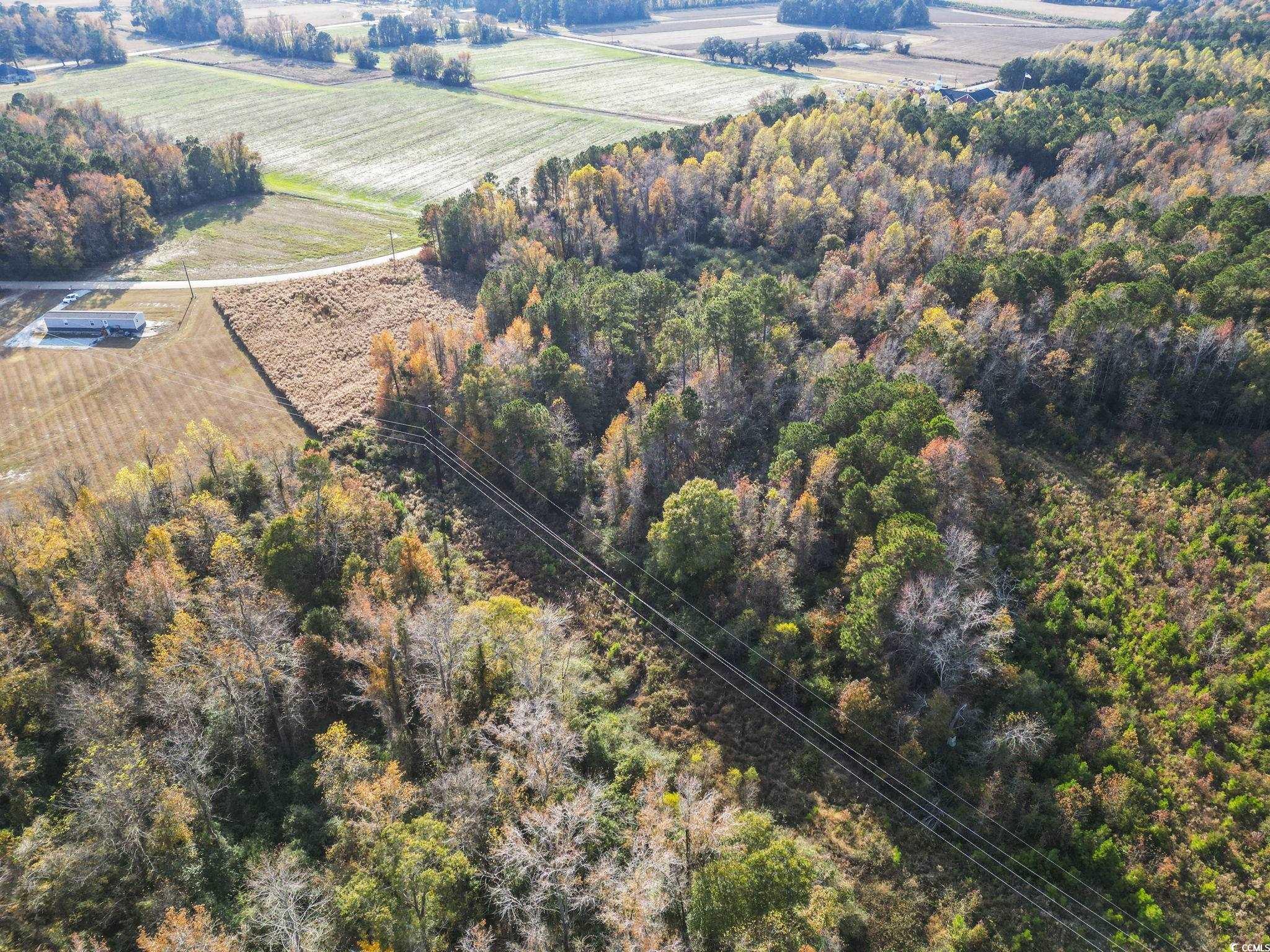 6110 Pleasant View Church Road Nichols, SC 29581 - Photo 5 of 8 Aerial view of property's location featuring rural landscape and large plots for crops