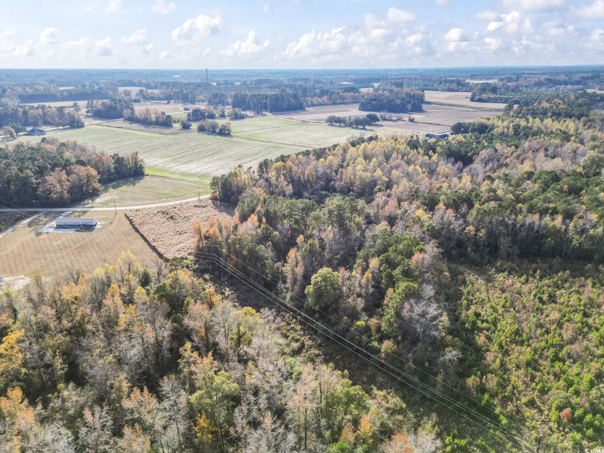 6110 Pleasant View Church Road Nichols, SC 29581 - Photo 6 of 8 View of rural area