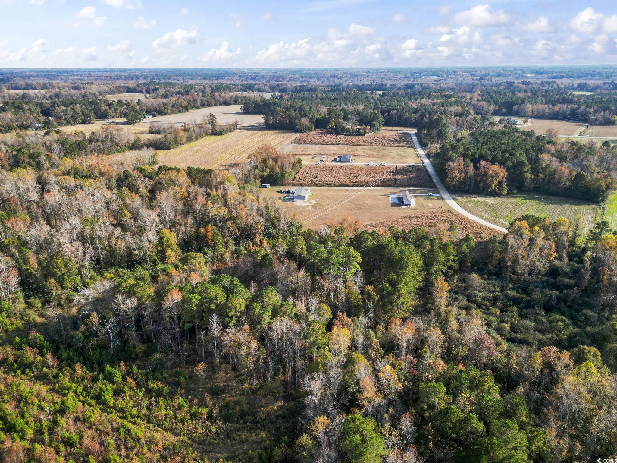6110 Pleasant View Church Road Nichols, SC 29581 - Photo 7 of 8 View of property location with rural landscape
