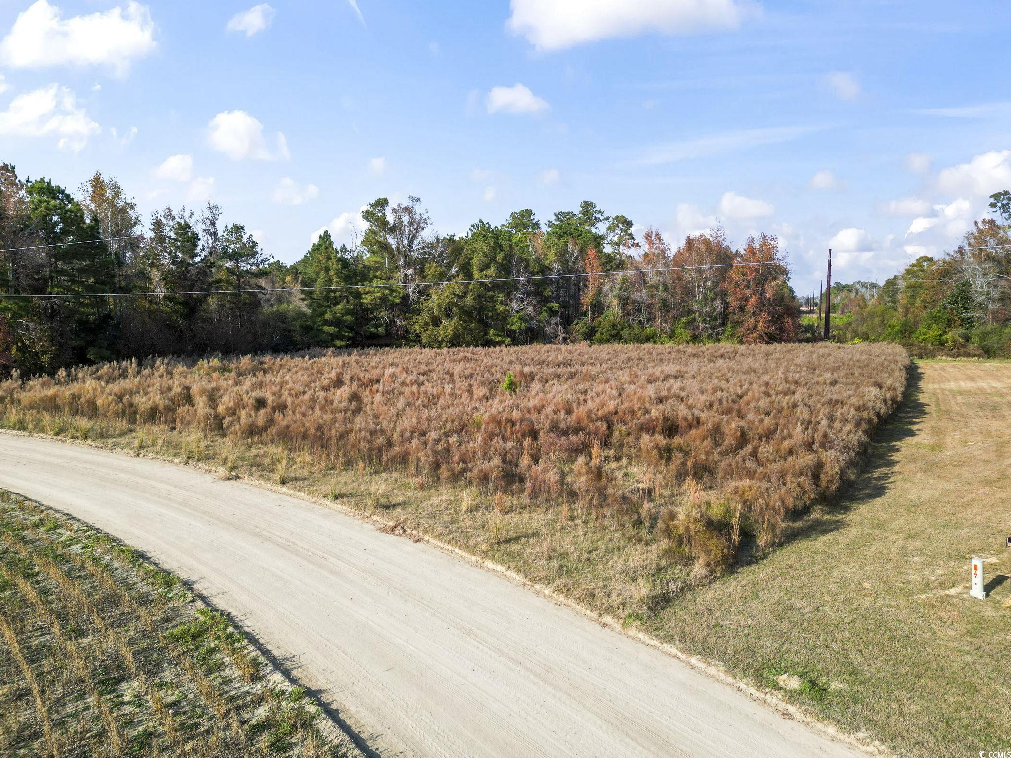 6110 Pleasant View Church Road Nichols, SC 29581 - Photo 8 of 8 View of dirt / gravel road with a rural view