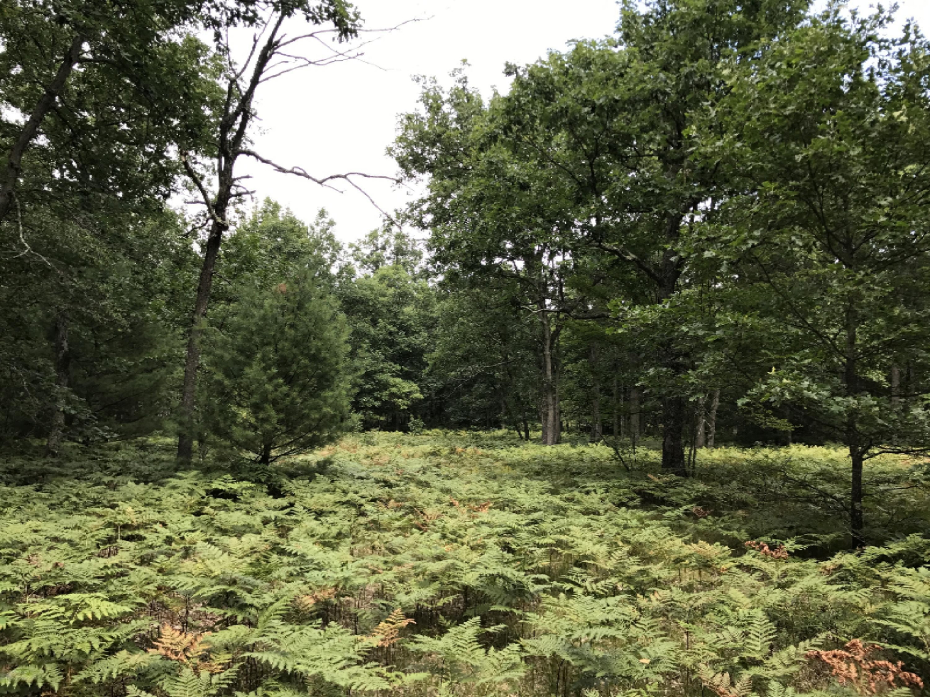 5 acres