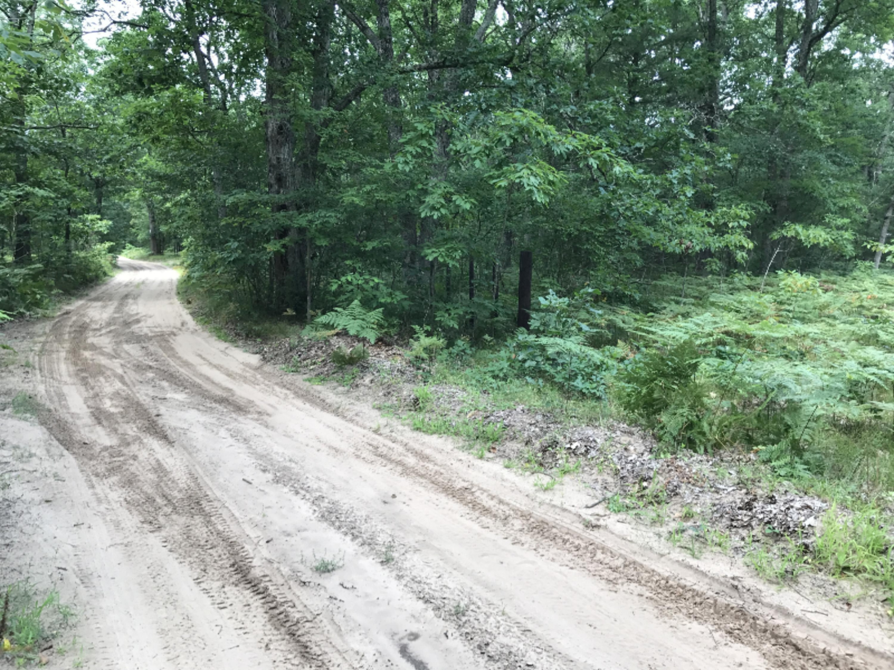 Road View