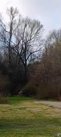 $19,000 | Lot 90 Rosario Drive, Baton Rouge, LA 70811