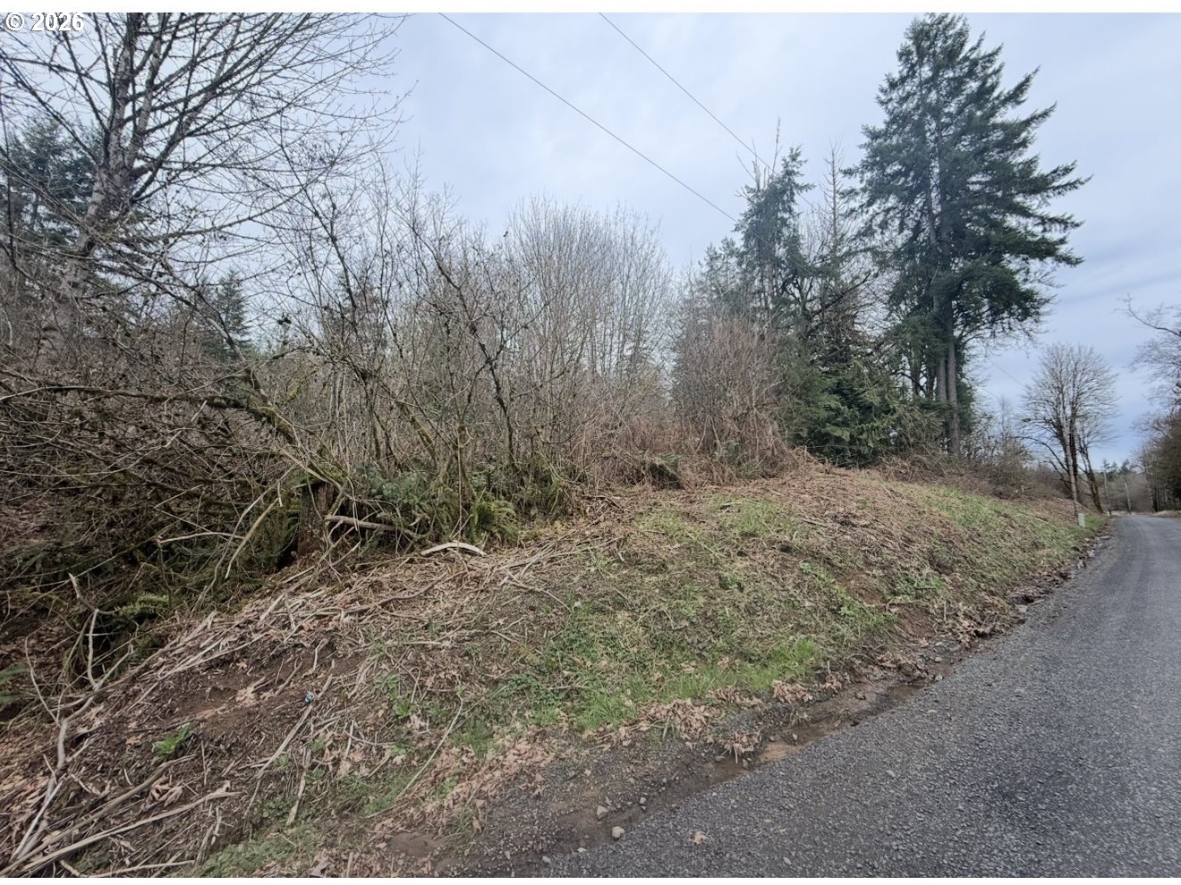 0 Debast Road Rainier, OR 97048 - Photo 2 of 4 a view of a forest with trees in the background
