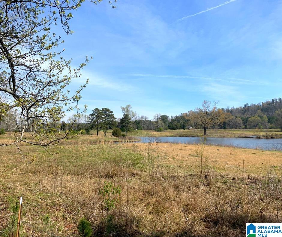 352 Daniel Road, Unit 97 17 ACRES Ohatchee, AL 36271 - Photo 2 of 17