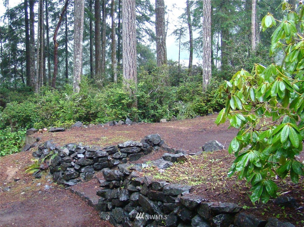 160 Northeast Larson Lake Road Belfair, WA 98528 - Photo 18 of 18 Gallery Image 18