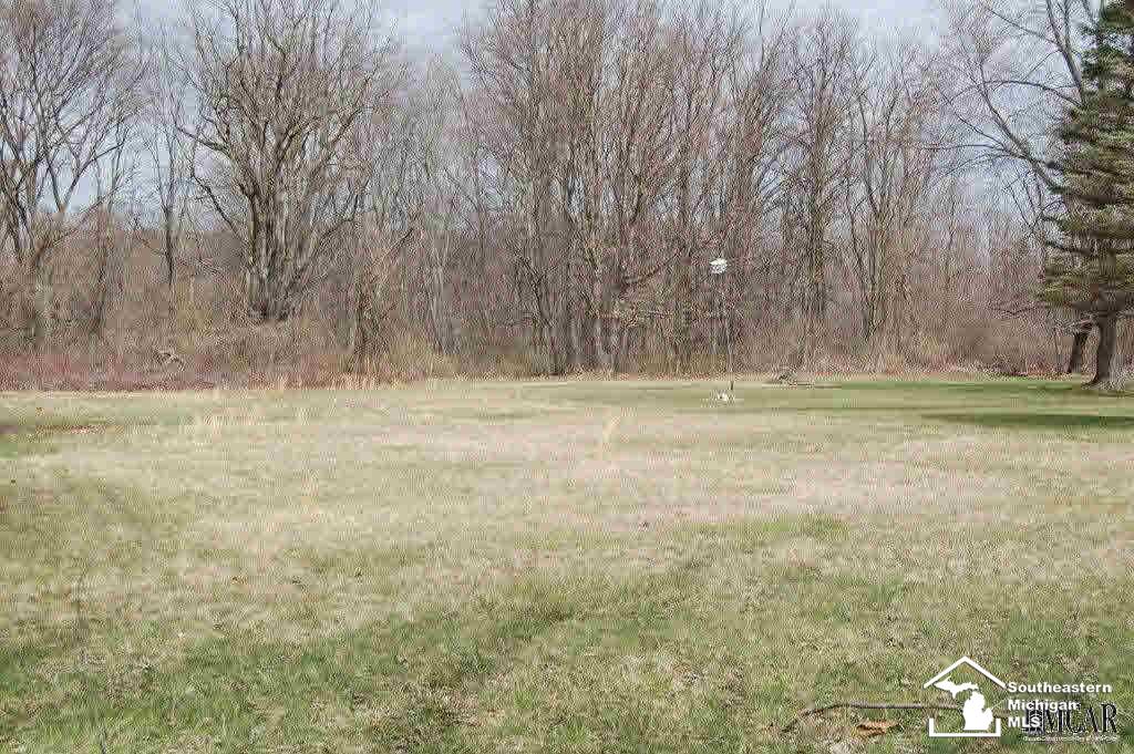 0 Pickard Road Temperance, MI 48182 - Photo 5 of 8