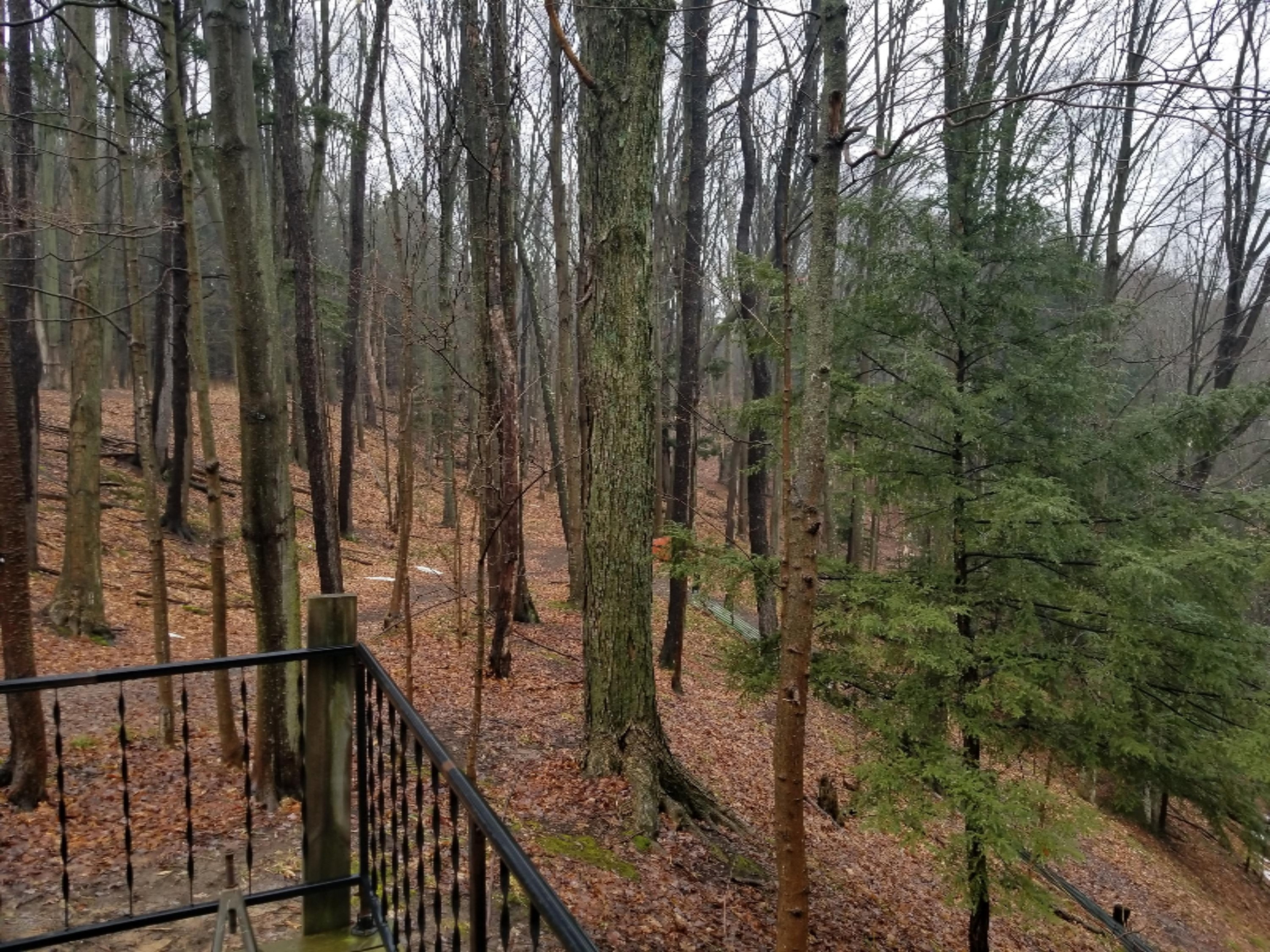 1188 East Conrad Road Scottville, MI 49454 - Photo 6 of 14 20180327_135739