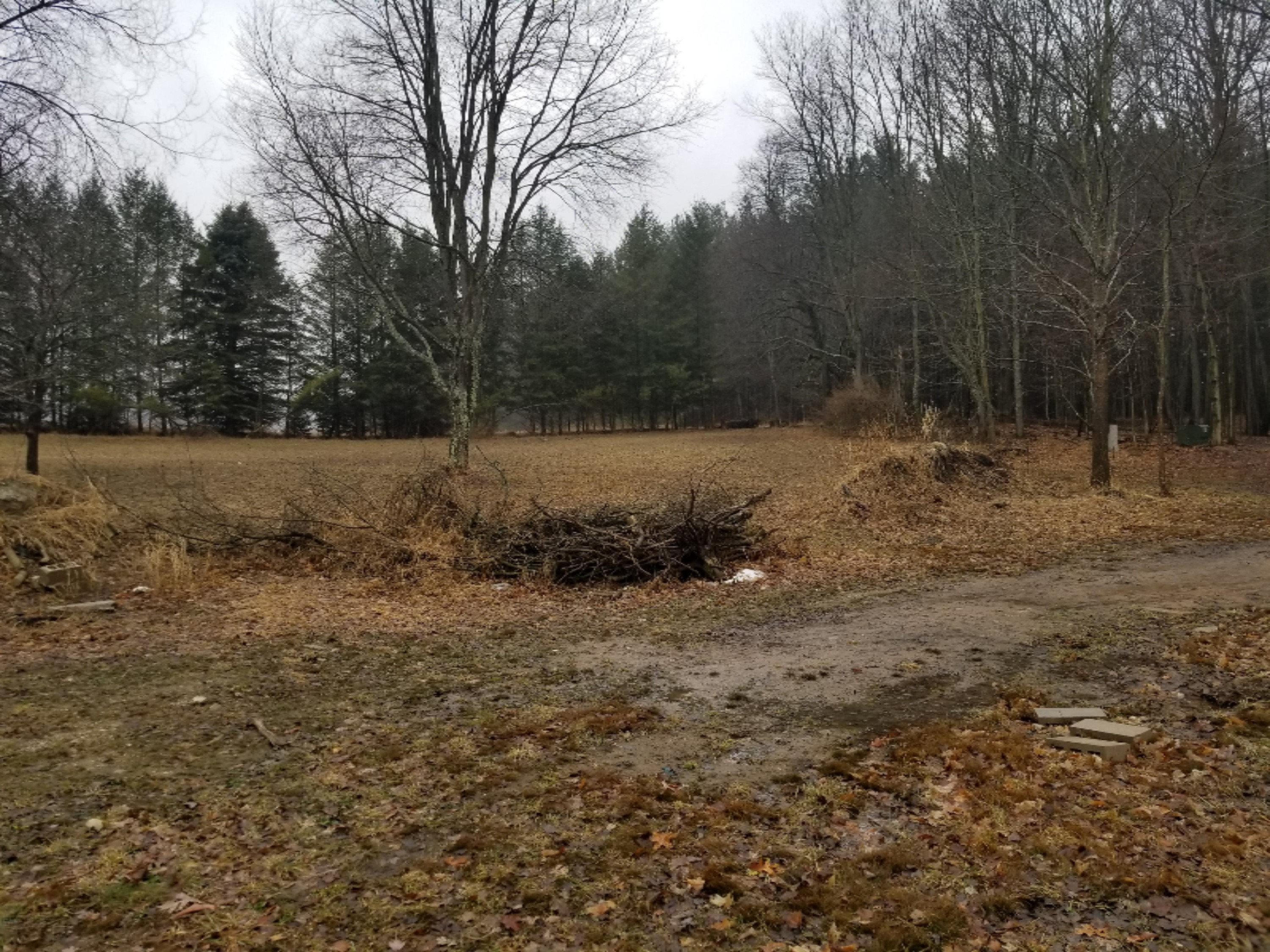 1188 East Conrad Road Scottville, MI 49454 - Photo 10 of 14 20180327_135645