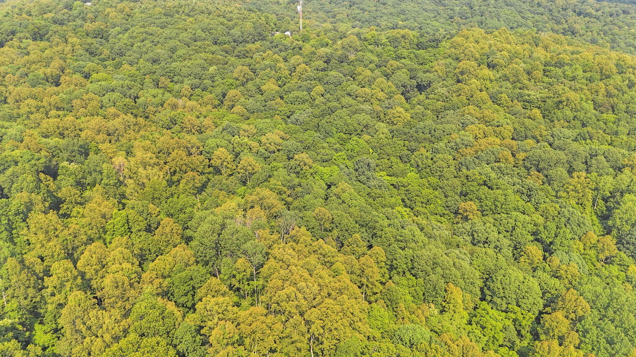 0 Thad Hall Road Laurelville, OH 43135 - Photo 25 of 28 17-web-or-mls-DJI_20240621161737_0075_D