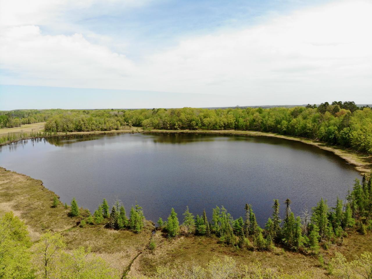 Xyz Dailey Lake Road Willow River, MN 55795 - Photo 11 of 12