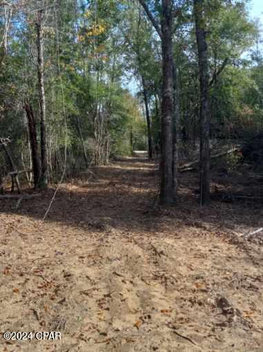 0 Tommy Tucker Road, Unit LOT 2 Altha, FL 32421 - Photo 21 of 26