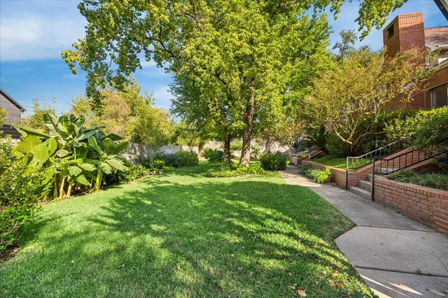 a view of a yard with plants and large trees