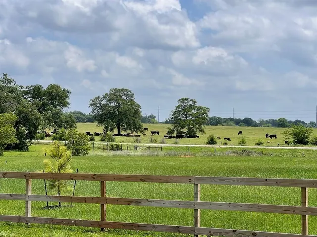 a view of a big yard with plants and large trees