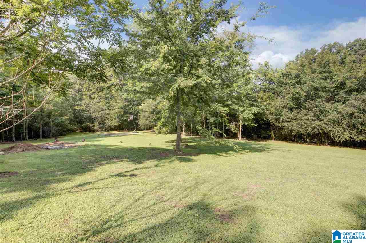 7563 Old Springville Road Trussville, AL 35173 - Photo 21 of 25 Gallery Image 21