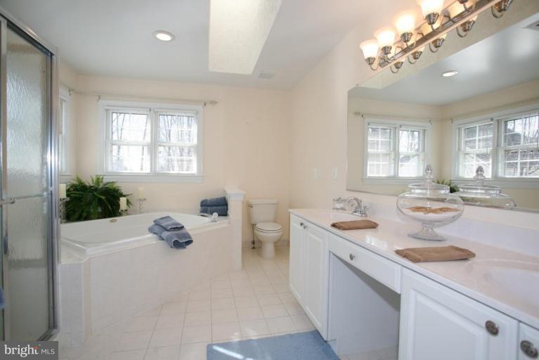 11401 Wild Bramble Way Reston, VA 20194 - Photo 13 of 30 Master Bath