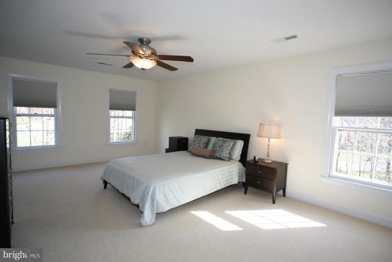 11401 Wild Bramble Way Reston, VA 20194 - Photo 10 of 30 Master Bedroom