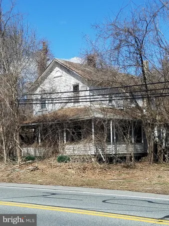 a close view of a glass door with a tree