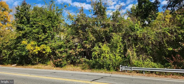 a view of a yard from a window