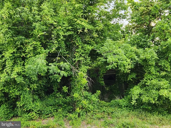 an aerial view of a garden with plants