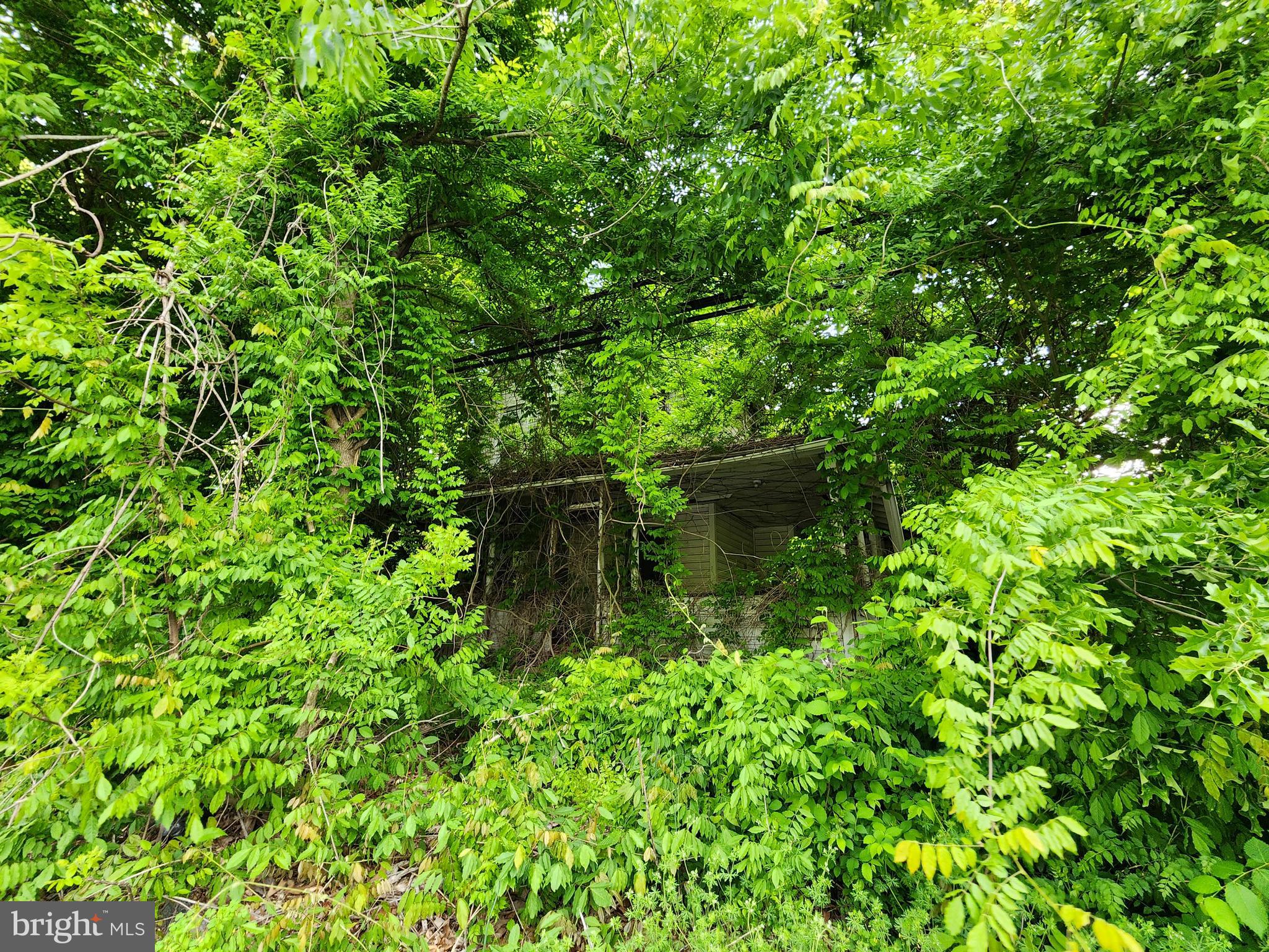4450 Hawthorne Road Indian Head, MD 20640 - Photo 4 of 17 a backyard of a house with lots of green space